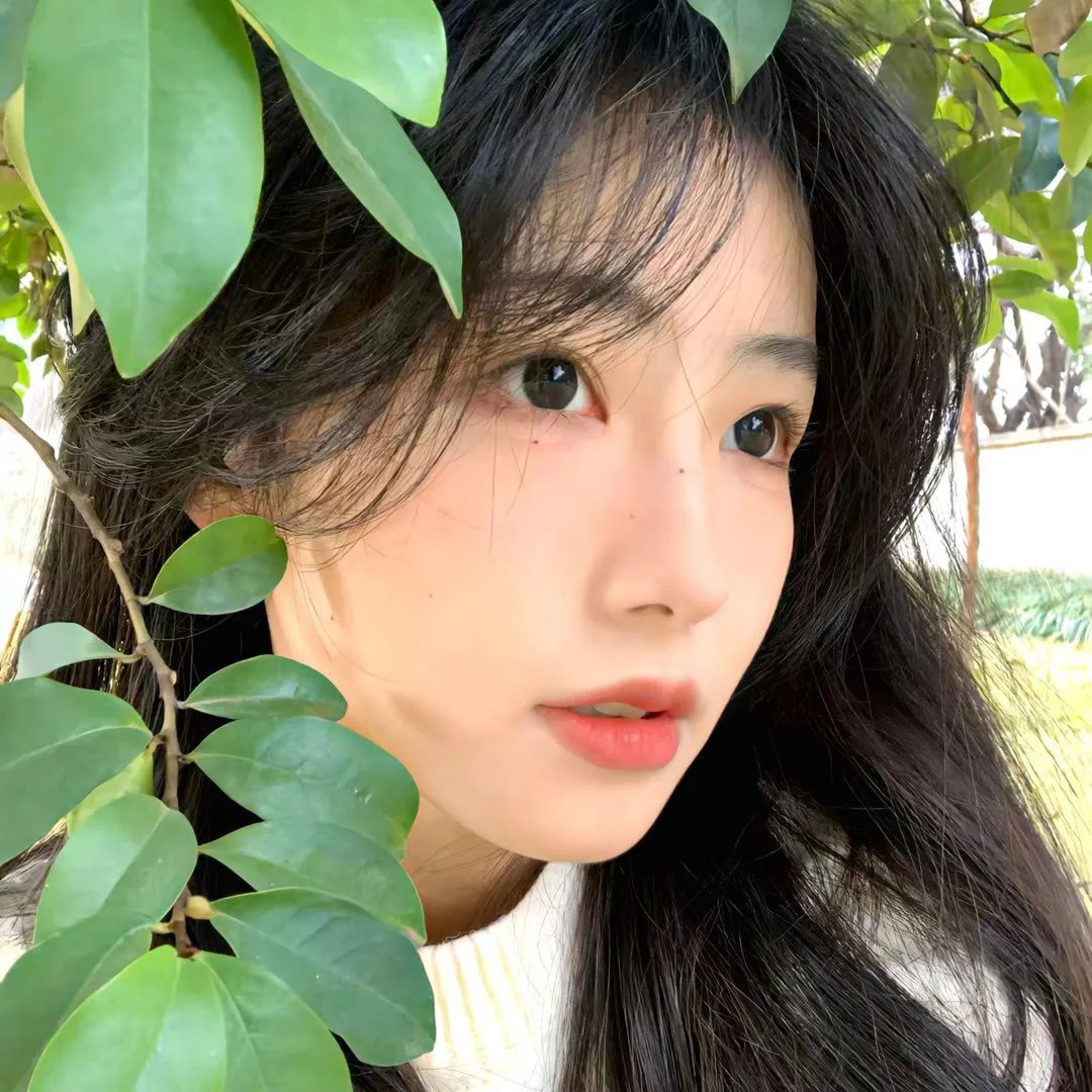 一样的月光下